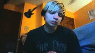 Southern Skies by Like A Storm (Cover by Me)