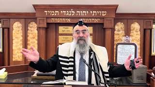 הקדמה להלכות יום טוב (הרב יצחק ישראלי) - התמונה מוצגת ישירות מתוך אתר האינטרנט יוטיוב. זכויות היוצרים בתמונה שייכות ליוצרה. קישור קרדיט למקור התוכן נמצא בתוך דף הסרטון