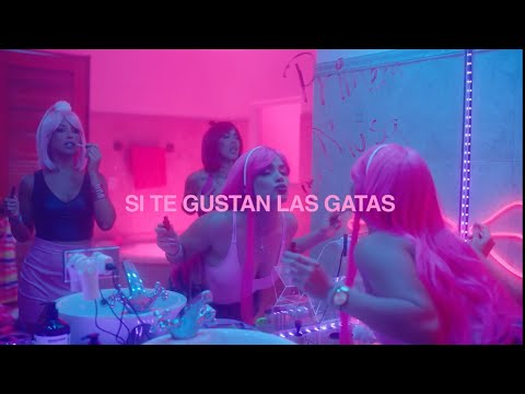 Miniatura de S I T E G U S T A N L A S G A T A S