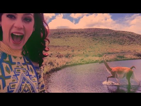 Se Vira video