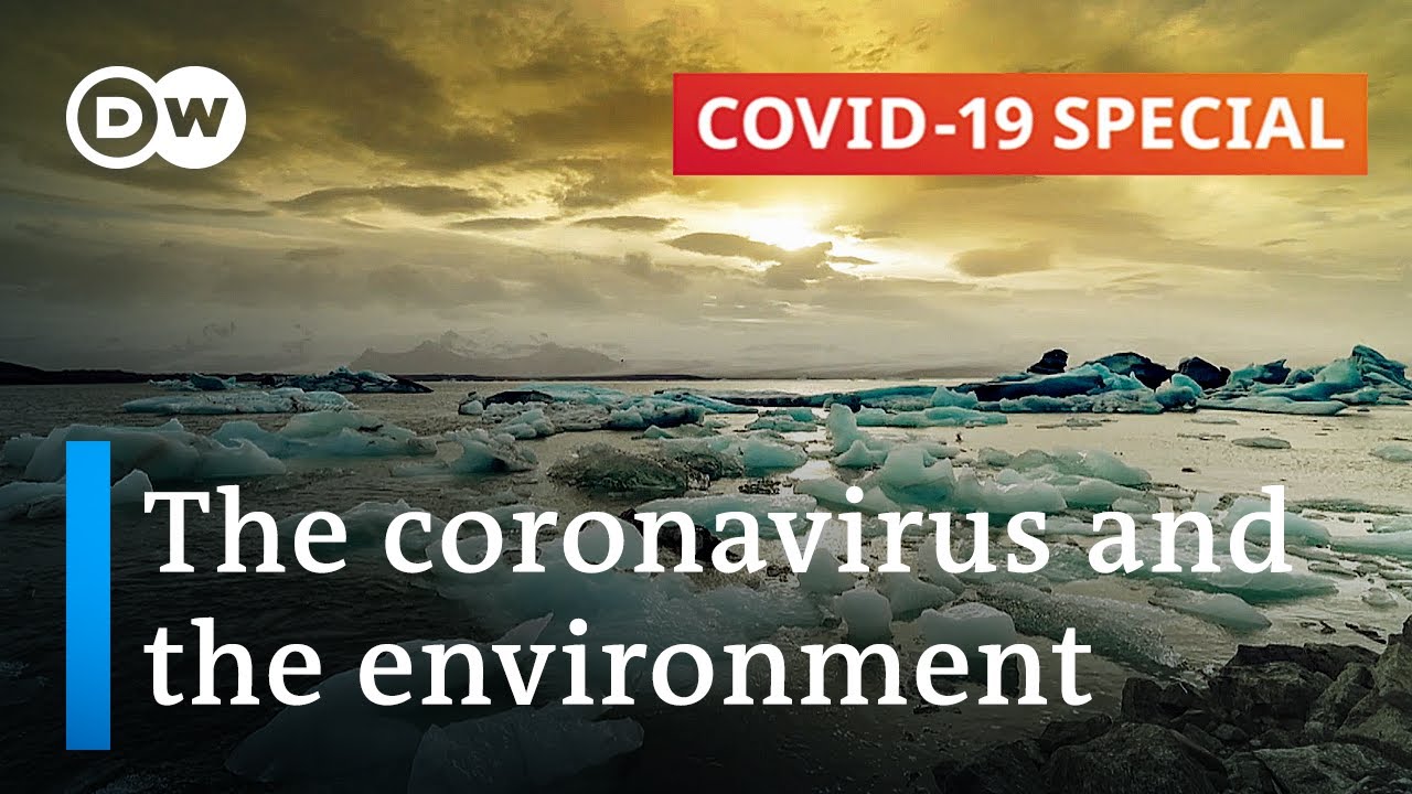 What impact has the coronavirus pandemic had on the environment? | COVID-19 Special