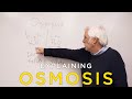 Osmosis Explained | 60-Second Science Lecture