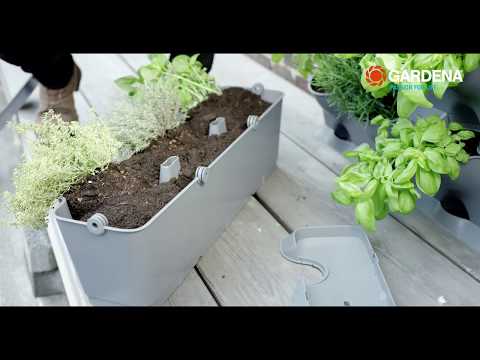 იხილეთ პროდუქტის მოკლე ვიდეო მიმოხილვა