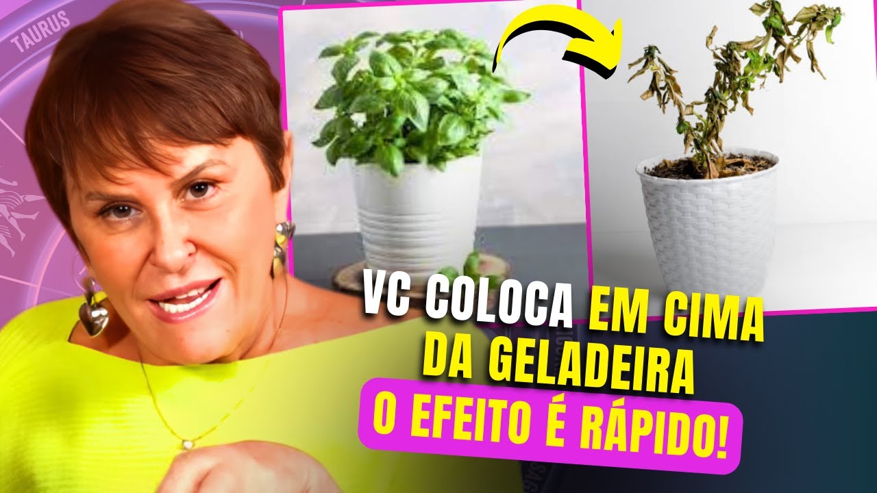 Dicas FÁCEIS para limpar energia da casa (+ simpatias mais pedidas) | Márcia Sensitiva