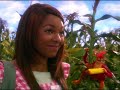 The Muppets Wizard Of Oz Kermit The Scarecrow