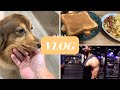 VLOG#54 | Daily Vlog | 健身 | 美食 | 日常 | Lazy Bug