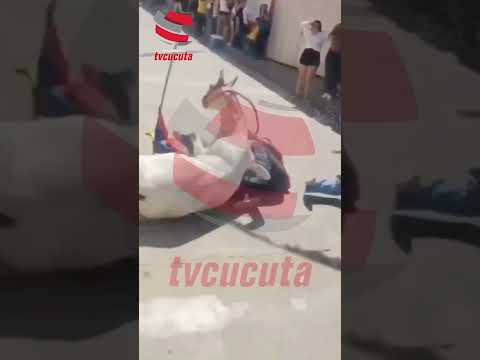 Gr@v3 @cc1d3nt3 durante una carrera de caballos en el marco de las ferias de Salazar de Las Palmas