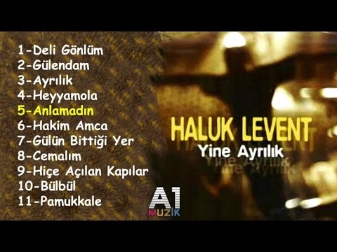 Anlamadın - Haluk Levent