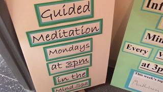 Mind Spa Intro