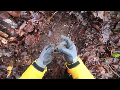 DEEP 3D MAX ile Define Arama ve Bulma Anı!