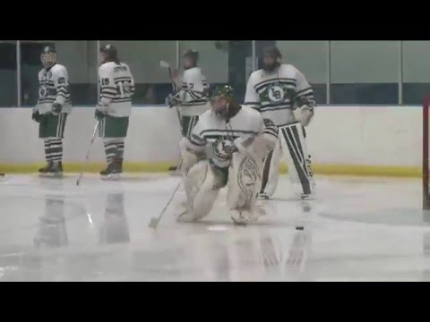 Dragon Hockey Vs. Rochester United 2/29/16 - Playoffs Round 1