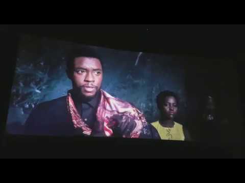 We Must Find The Way - Black Panther