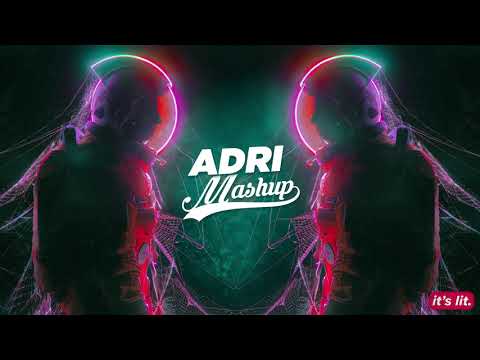 RUMPUS x PINEO & LOEB - Body Right