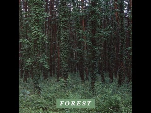 Driver - Forest [Full BeatTape]