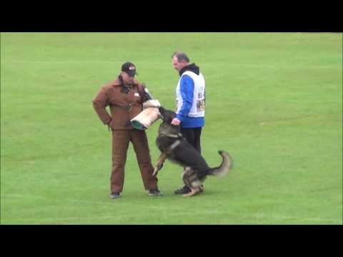 WUSV WK IPO 2016 Johan C