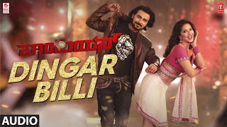 Dingar Billi Song | Champion Kannada Movie | Sachin Dhanpal, Sunny Leone | B. Ajaneesh Loknath