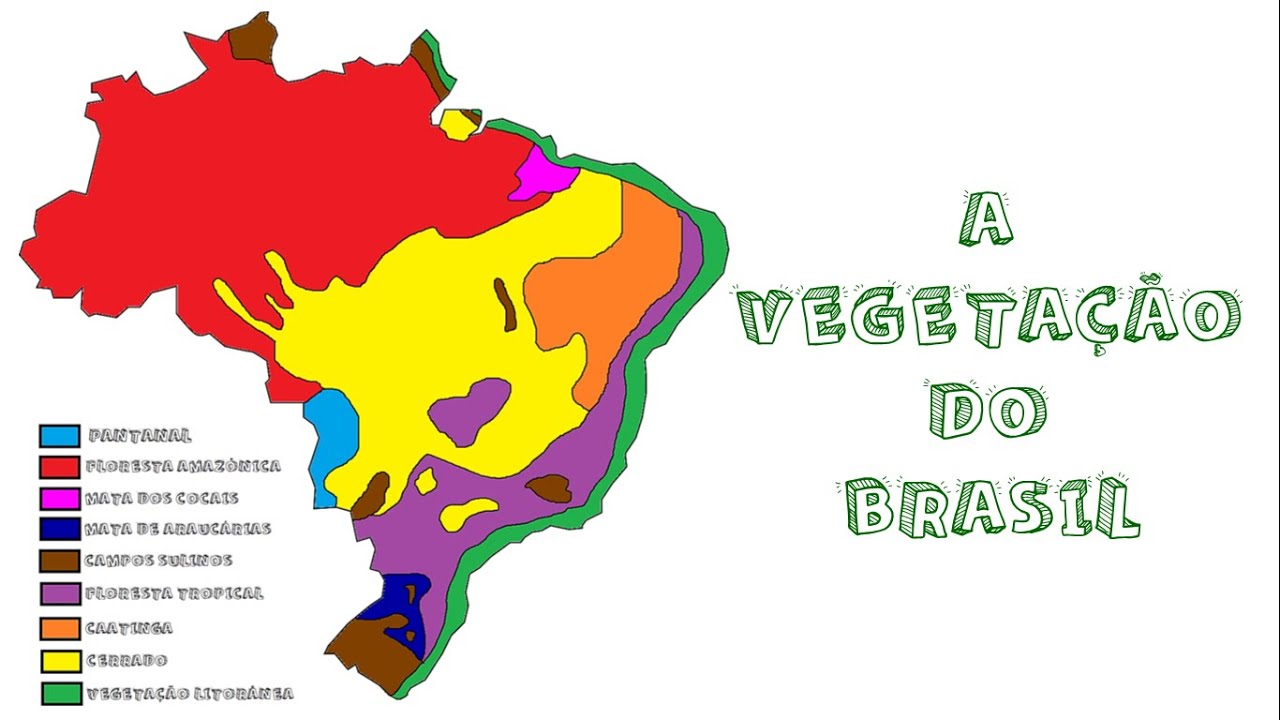 A VEGETAÇÃO DO BRASIL