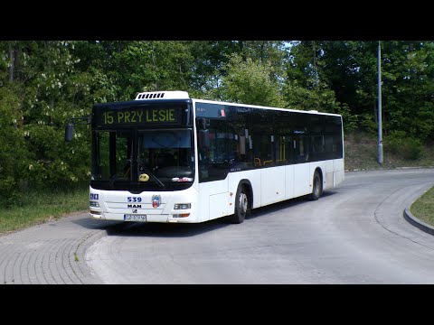MZK Toruń | Linia 15 | Rubinkowo P&R - Przy Lesie | MAN NL283 Lion`s City #539