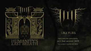 Like Flies Music Video