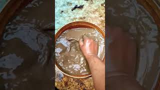 Download lagu Love That Didn’t Stay #shorts #feedshorts #subscribe mp3 Download lagu Love That Didn’t Stay #shorts #feedshorts #subscribe mp3