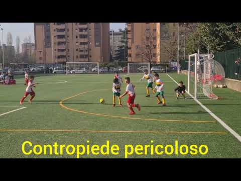 Highlights SDS CINISELLO vs PRECOTTO