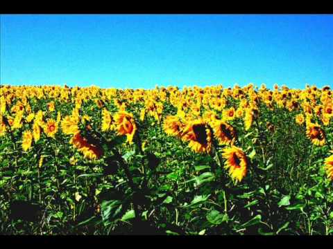 Planet B.E.N. vs. Didrapest - Chemical Voice