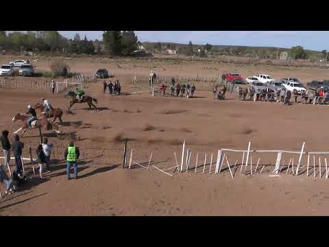 MARIPOSA y MOSQUITO Club Hipico "Viento Sur"   Cutral Co 25-09-2022