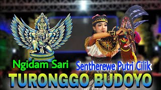 Download lagu Jaranan Turonggo Budoyo Sentherewe Putri Cilik - Ngidam Sari mp3 Download lagu Jaranan Turonggo Budoyo Sentherewe Putri Cilik - Ngidam Sari mp3