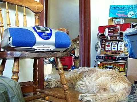 Part 1 Steve Elkington and Jim Rome