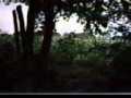 Medawase Menyakopon