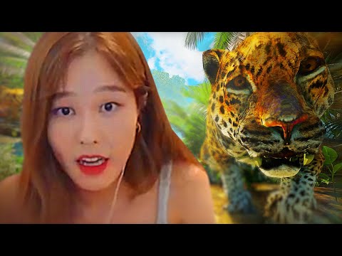 why i don't go outside