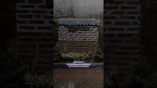 Download lagu Sholawat Ya Imamar-rusli Ya Sanadi | Sholawat | Lirik #shorts #sholawat #storywa #ramadhan mp3