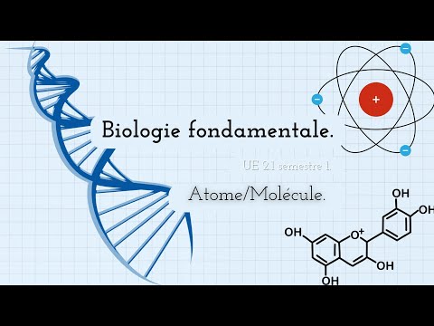 UE 2.1. Fundamental Biology. Atom/Molecule.