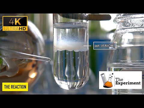 What happen when aluminum sulphate Al2(SO4)3 reacts with ammonium hydroxide NH4OH? | Al2(SO4)3+NH4OH