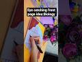 Eye Catching Front Page Idea Biology Side Cornerborder Design Frontpage Aesthetic Ytshorts Shorts