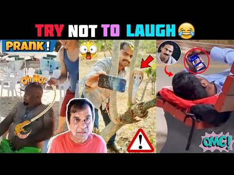 Telugu funny comedy Mp4 3GP Video & Mp3 Download unlimited Videos Download  