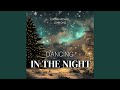 Dancing In The Night (feat. Jordan Michael)