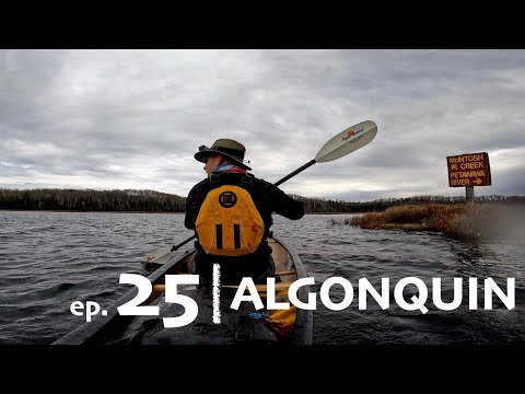 EP. 25 | Spectacular five-day solo ice-out adventure in Algonquin Park | I SAW A BLACK BEAR!!! 😳