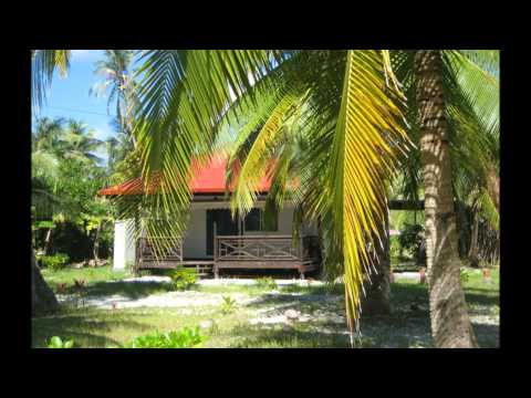 aroha to te kainga.wmv