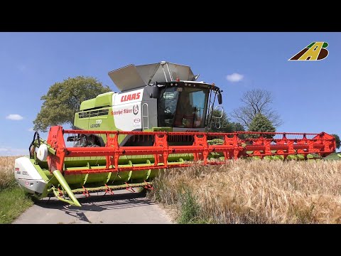 Getreideernte - Mähdrescher Claas Lexion 770 / 780 & John Deere & Fendt Traktoren der Landwirtschaft