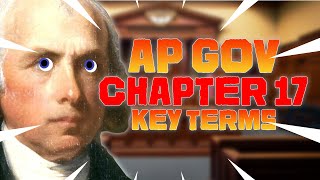 AP GOV Chapter 17 Key Terms + Notes