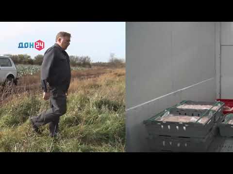 Рубрика Управления Россельхознадзора по Ростовской, Волгоградской и Астраханской областям и Республике Калмыкия: «Россельхознадзор сообщает»