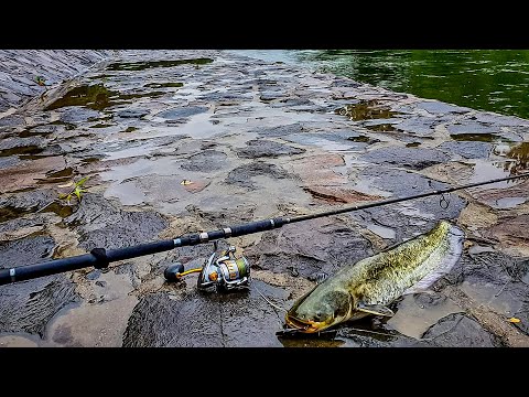 Hooked On Street Fishing Ibar Kraljevo