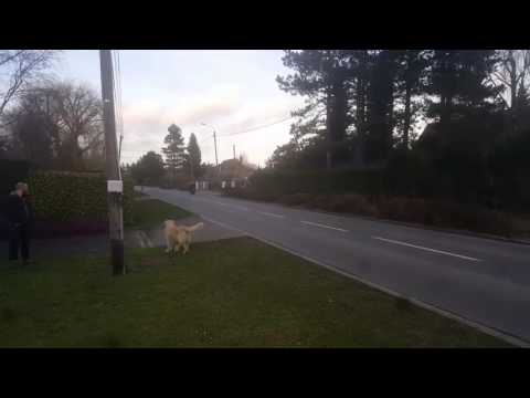 Impéria 500cc Sport