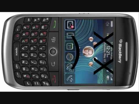 STUBBORN & PESTER - BB IS DEAD