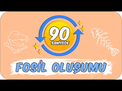 90 SANİYEDE FOSİL OLUŞUMU 🔎