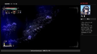 Salt and Sanctuary初見プレイする。#6