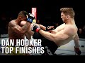 Dan Hooker | Top Finishes