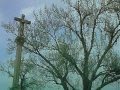 Laura Sullivan - Brave Mourning