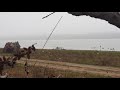 Hunting Ducks In Romania 40744348950